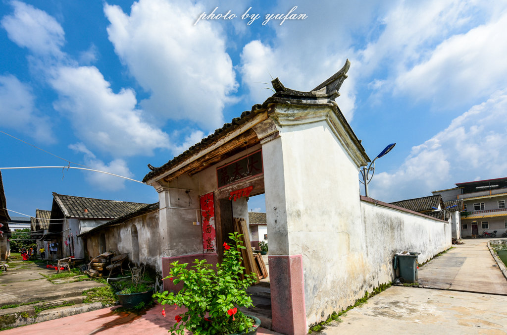 丝路奇迹：观围屋之典范，赏苏铁之传奇