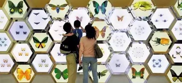 清远长隆森林主题乐园亚洲最大,广东清远长隆游乐园攻略