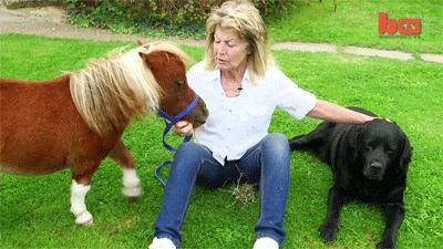 技能贴！教你如何和男朋友分手