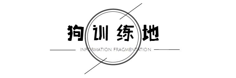 一千平室外宠物乐园,拥有数百只流浪猫的猫咪公园