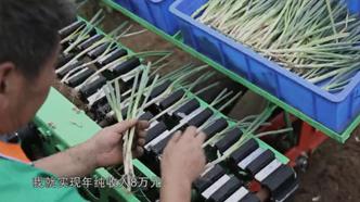 糖尿病人指尖采血第几滴血比较好,指尖采血测血糖是第三滴血