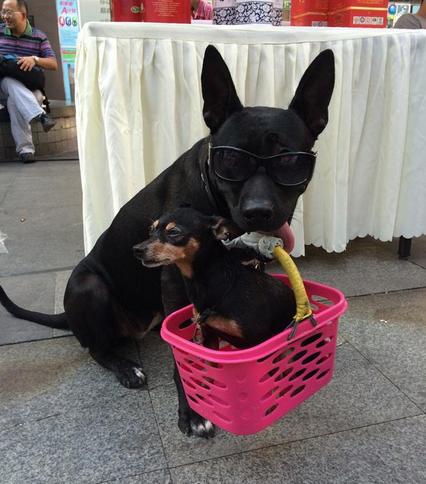 冷段子笑话经典篇,史上最强的十则笑话笑点低的勿入