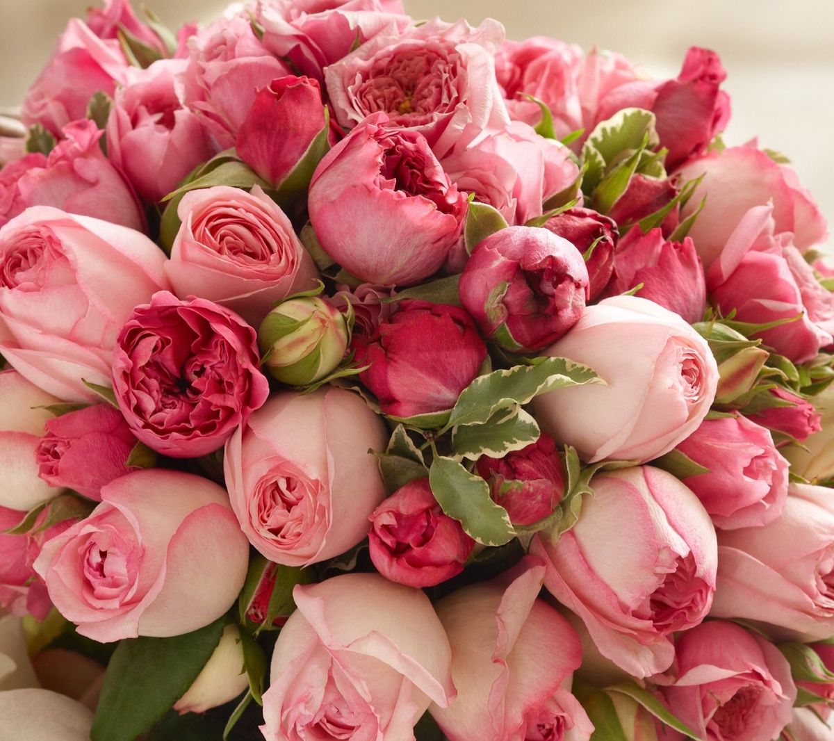 好看花儿的名字有哪些,所有非常美丽的花儿名字