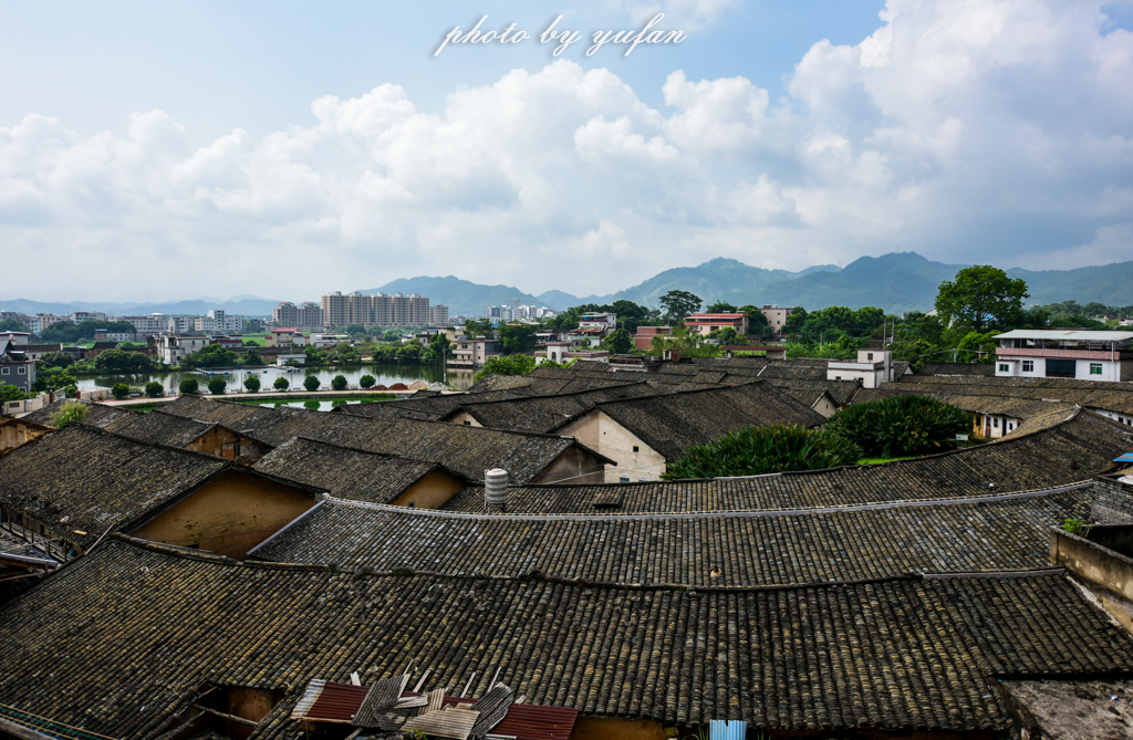 丝路奇迹：观围屋之典范，赏苏铁之传奇