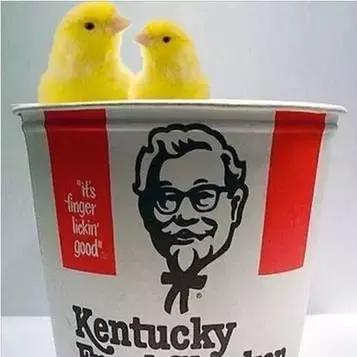 必知的9道最佳解酒方法,最靠谱的解酒方法