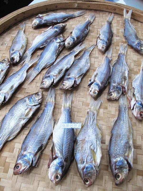 哪种咸鱼好吃无刺,黄色的咸鱼和白色咸鱼哪种好吃