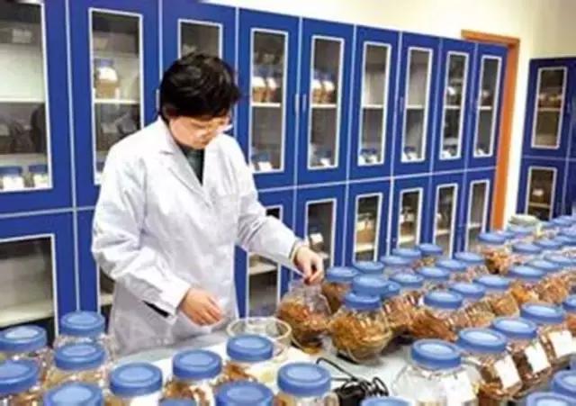 *子烟电**品油师，未来的高薪行业