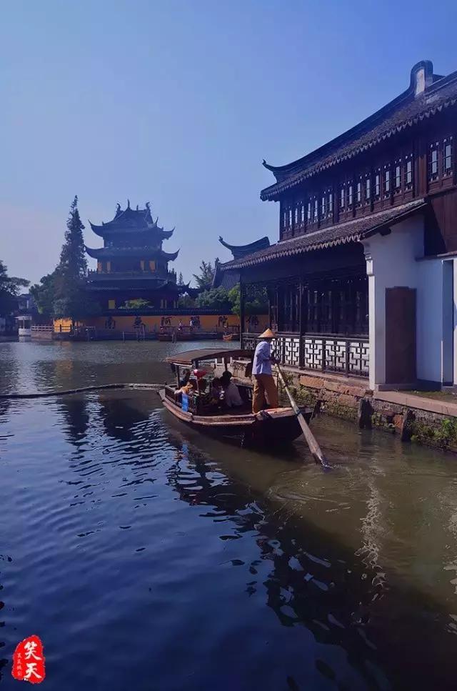 蓝莲花开，看跨界达人如何用心将每个瞬间做到永恒