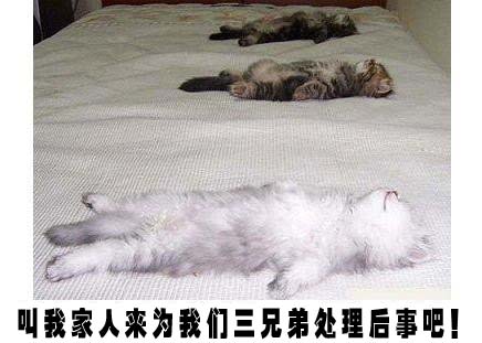 笑吧笑吧歌词图片,笑吧笑吧完整版歌词