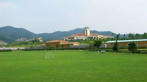 国庆节带狗狗适合去哪玩,国庆节狗狗出去浪