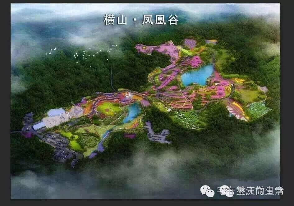 山谷飞来金凤凰,綦江横山凤凰谷怎么去