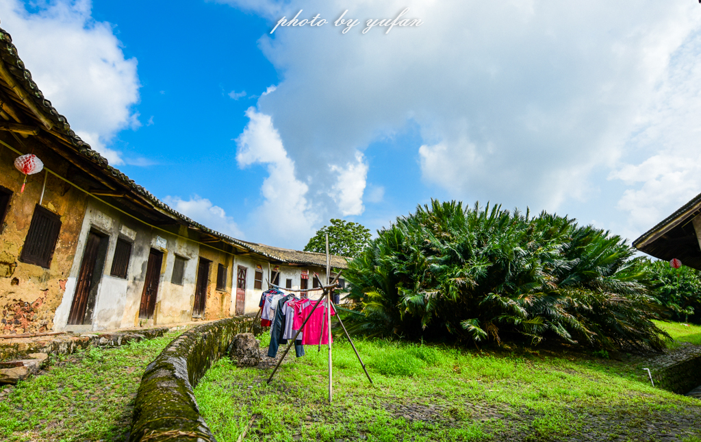 丝路奇迹：观围屋之典范，赏苏铁之传奇