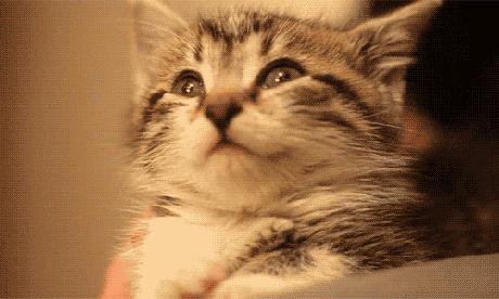 知乎神回答：为什么听觉无法关闭，怎么动耳朵，耳朵太小怎么办？