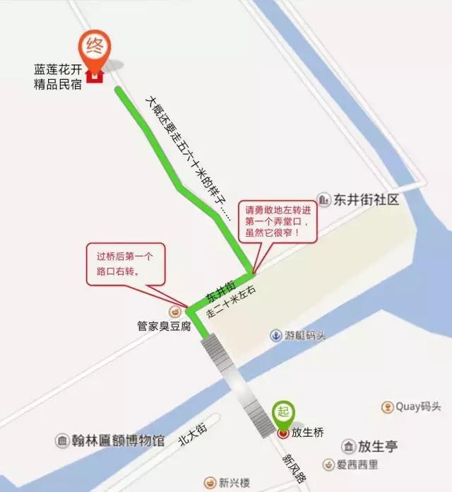 蓝莲花开，看跨界达人如何用心将每个瞬间做到永恒