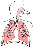 搬东西伤到肺部怎么办,搬东西肺破了