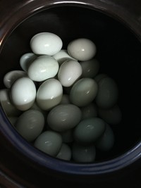 做咸蛋怎么做法最好吃不会裂壳,怎么泡咸蛋才能做出没有油的咸蛋