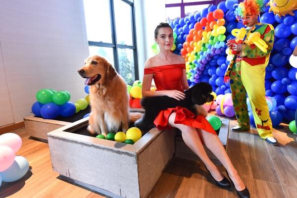 国庆节带狗狗适合去哪玩,国庆节狗狗出去浪