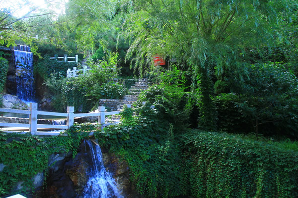 国庆节带狗狗适合去哪玩,国庆节狗狗出去浪