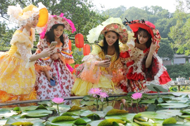 广州莲花山睡莲池,广州市莲花山睡莲