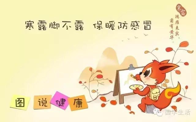 寒露时节美食养生,寒露时节经络养生应以调养为主