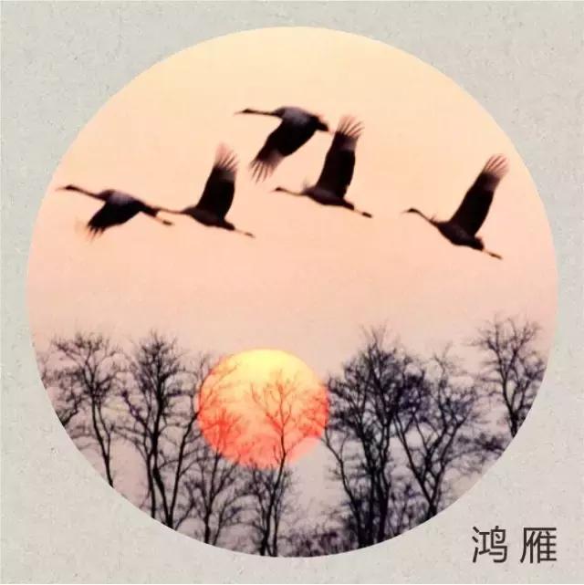 寒露时节美食养生,寒露时节经络养生应以调养为主