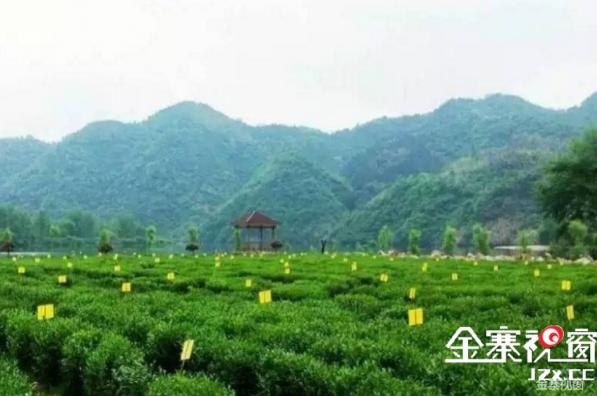 大别山中大金寨，这23个乡镇貌美如花，十一你不来？