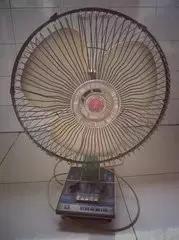 重庆绝密档案,重庆人的历史纪录