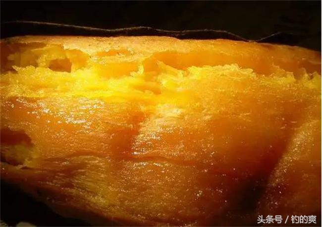 野钓用这五款天然饵料,钩尖江湖饵料靠谱吗