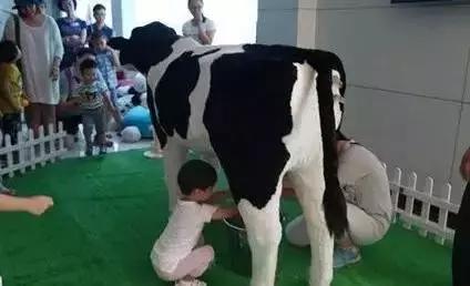 天津亲子国庆节,六一天津亲子游