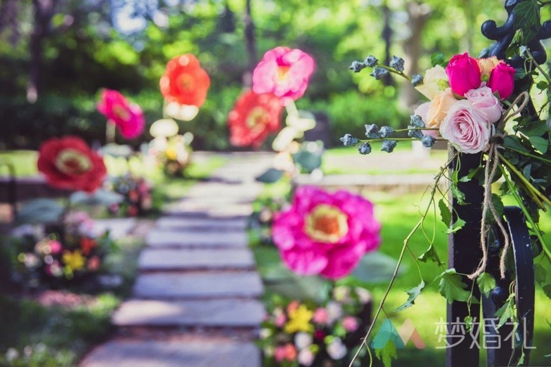 这场还原“暮光之城”的波西米亚婚礼，一只心机柯基成功抢镜