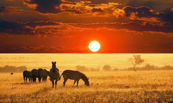 钻石的美,天然钻石的美