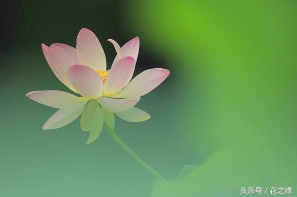 有心跳的生活，美景尽在眼下