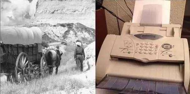 猛犸象跟金字塔哪个厉害,金字塔有猛犸象