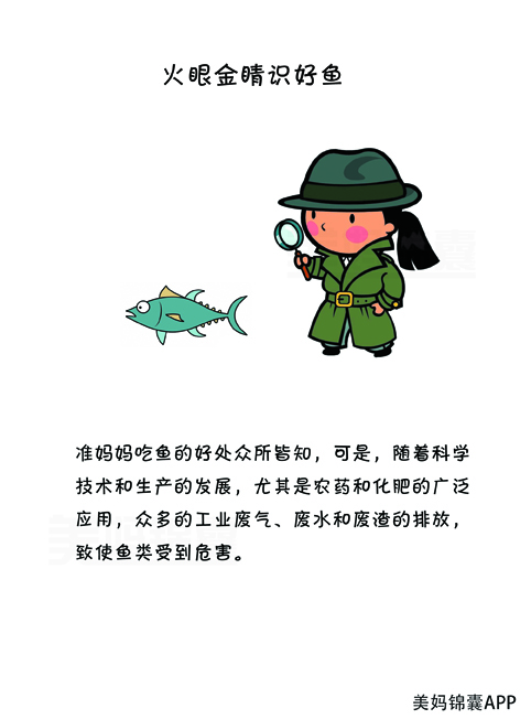 孕妇早期最适合吃的六种鱼,怀孕初期适合吃什么深海鱼