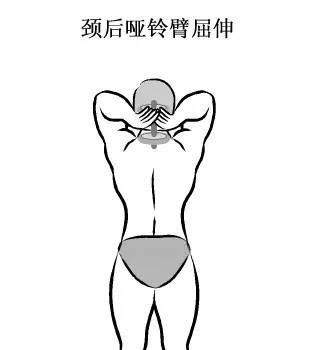 在家用哑铃锻炼背详细教学,瘦子在家哑铃锻炼全身肌肉