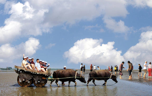 26个英文字母带你看懂我们大如东！