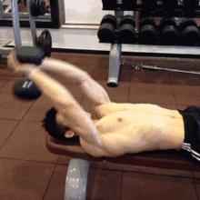 在家用哑铃锻炼背详细教学,瘦子在家哑铃锻炼全身肌肉