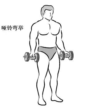 在家用哑铃锻炼背详细教学,瘦子在家哑铃锻炼全身肌肉