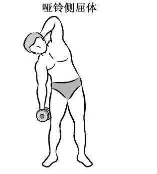 在家用哑铃锻炼背详细教学,瘦子在家哑铃锻炼全身肌肉