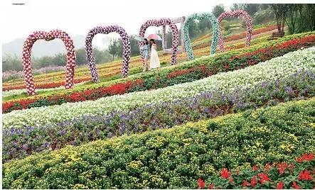 2020年重庆国庆节期间景区排名 (重庆国庆节期间景区推荐)