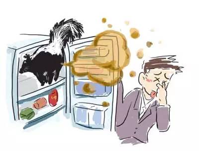 乌鲁木齐美食甜品,美食乌鲁木齐甜品