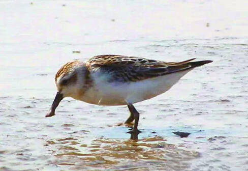 26个英文字母带你看懂我们大如东！