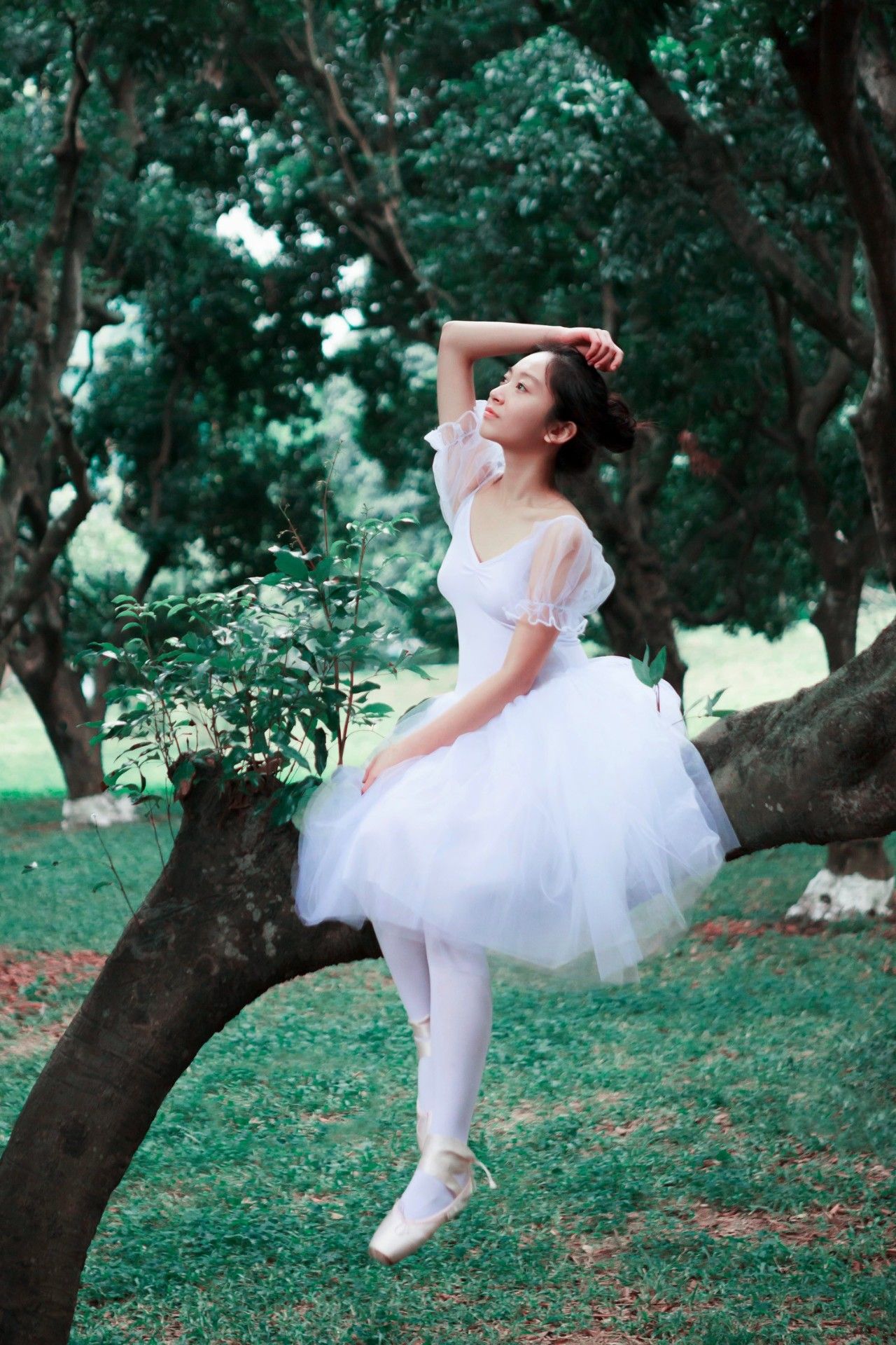 今日摄影师推荐｜未羊NAUIL