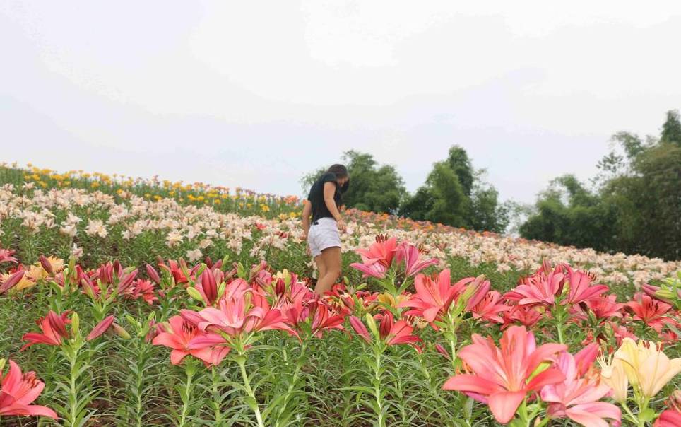 2020年重庆国庆节期间景区排名 (重庆国庆节期间景区推荐)