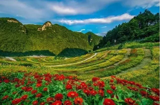 2020年重庆国庆节期间景区排名 (重庆国庆节期间景区推荐)