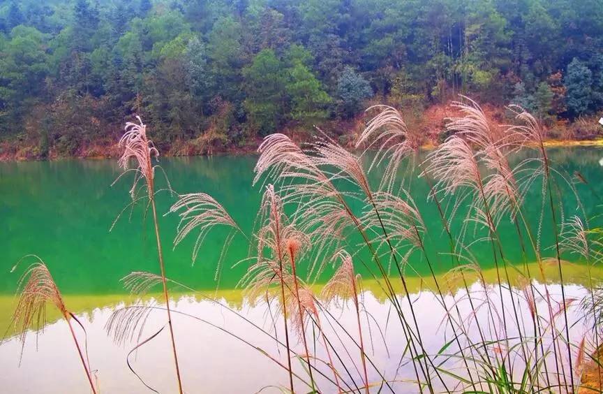 2020年重庆国庆节期间景区排名 (重庆国庆节期间景区推荐)