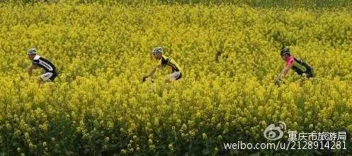 2020年重庆国庆节期间景区排名 (重庆国庆节期间景区推荐)