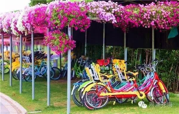 周末上海浦东有什么好玩的,五一上海浦东游玩攻略最全