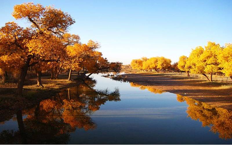国庆节特别策划②乐游·邂逅深秋醉美的内蒙古