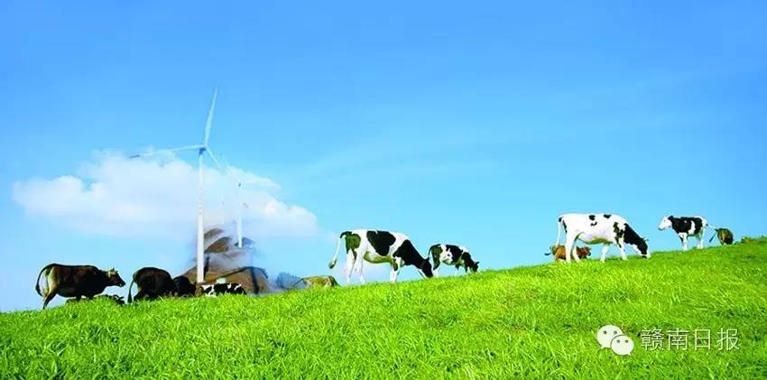 又有一大波旅游局长准备带大家“十一”玩转赣州